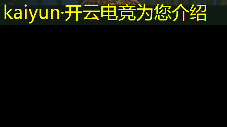 开云电竞为您介绍：电竞赛事物料价格排名